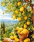 Lemon Paint by Numbers Kit for Adults – DIY Lemon Tree Canvas Painting, Digital Oil Style Art for Home Decor, 16x20 Inch